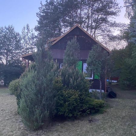 Dom Pod Sosnami Villa Rzewnie Kültér fotó