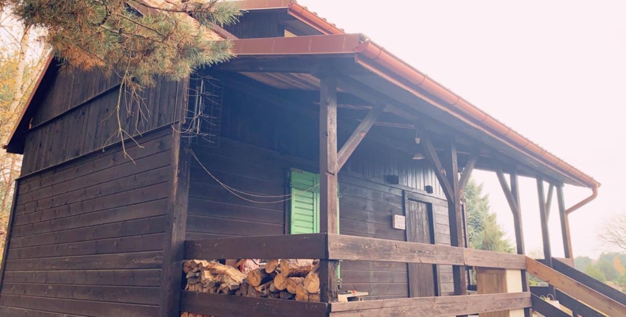 Dom Pod Sosnami Villa Rzewnie Kültér fotó